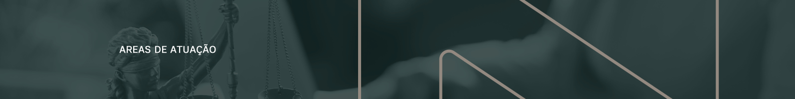 Banner da Página: Áreas de atuação